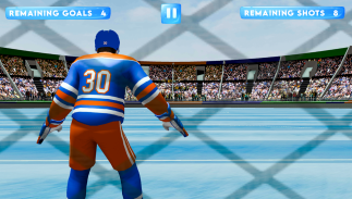 Ice Hockey Classic 3D screenshot 0