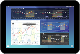 Meteogram Weather Widget screenshot 9