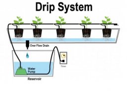 hydroponic grow system screenshot 2