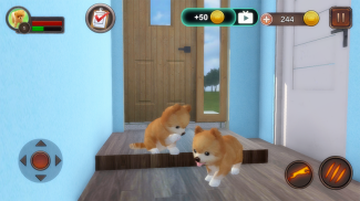 Pomeranian Dog Simulator screenshot 7