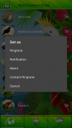 Bird Ringtones Prank screenshot 1