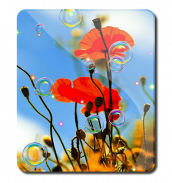 Summer 3D Poppies HD LWP screenshot 3