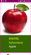 Learn Marathi Fruits and Vegetables Names screenshot 5