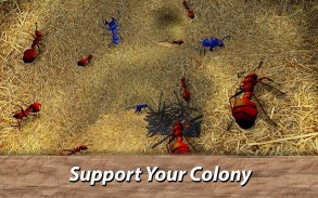 Ameisen Survival Simulator - geh zur Insektenwelt! screenshot 1