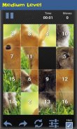 Slide Puzzle - Animal screenshot 3