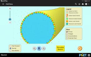 Chemistry & Physics simulation screenshot 6