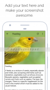 Canary screenshot 6