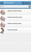 Système musculaire screenshot 3