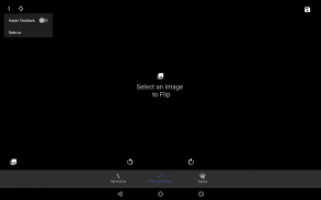 Flip Image - Mirror Image screenshot 1