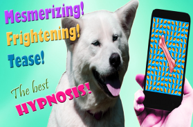 A hipnose arreliar o cão screenshot 3
