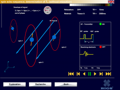 Physics of Magnetic Resonance Imaging (MRI) screenshot 9