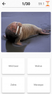 Mammals – Learn All Animals in Foto-Quiz! screenshot 5