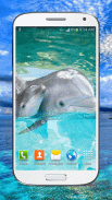 Dolphin Live Wallpaper HD screenshot 3