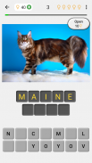 Gatos - Prueba acerca de todas las razas populares screenshot 2