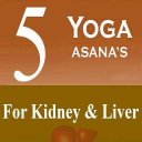 5 Yoga Poses Kidney & Liver Icon