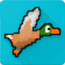 Lucky Ducky Icon