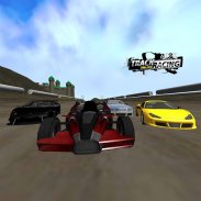 TrackRacing Online screenshot 2