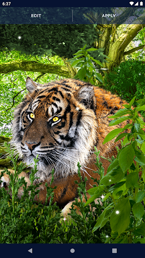 Tiger 3D Video Live Wallpaper - Apps on Google Play