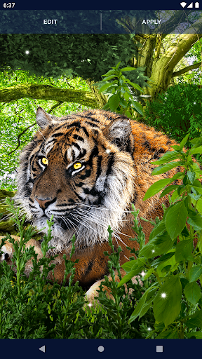 live wallpaper 3d tiger｜TikTok Search