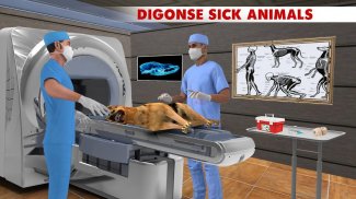 Pet Hastane Simülatörü 2019 - Pet Doktor Oyunları screenshot 1