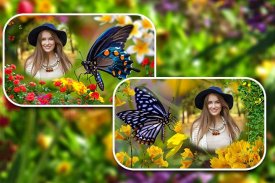 Butterfly Photo Frames screenshot 2