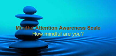 Mindful Attention Awareness