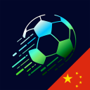 Info Chinese Super League Icon