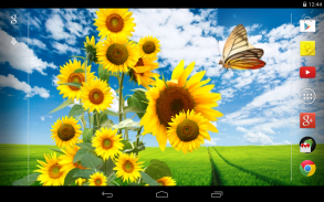 Sunflower Live Wallpaper screenshot 5