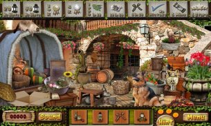 Colonial Town Hidden Object screenshot 0