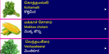 Learn Tamil From Telugu screenshot 5