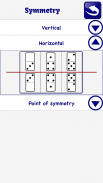 Domino psychotech Test LITE screenshot 10