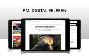 P.M. Digital Magazin screenshot 4