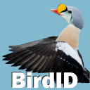 BirdID - European bird guide and quiz Icon