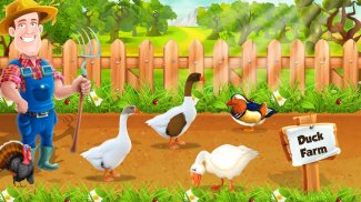 Утиное фермерское хозяйство: яйца и птицеводство screenshot 0