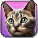 My Kitten : Virtual Pet Icon
