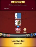 Blackjack Card Game screenshot 7