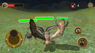 Horned Owl Simulator screenshot 4