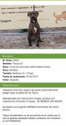 Adopta Zaragoza screenshot 0