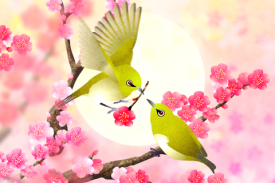 Plum-Blossom and White-Eye Tri screenshot 1