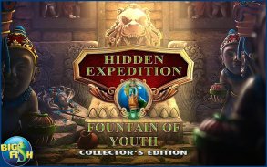 Hidden Expedition: Fountain screenshot 9