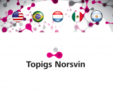 UDG TOPIGS NORSVIN screenshot 0