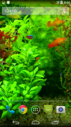 Real Aquarium 3D Wallpaper screenshot 3