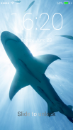 Great White Sharks Slide To Unlock Lock Screen screenshot 0