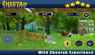 Angry Cheetah Wild Attack Sim screenshot 10