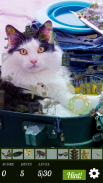 Hidden Object - Travelling Pets screenshot 1