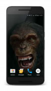 Talking Monkey Live Wallpaper screenshot 9