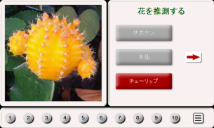 パズルもうとしている品種犬 screenshot 7