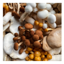 Mushroom Cultivation App