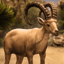 Ultimate Ibex Simulator Icon