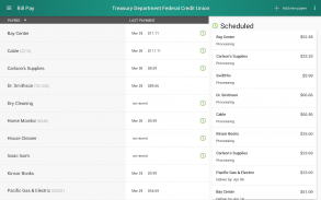 Treasury Department FCU screenshot 4